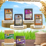 วว. นำเสนอนวัตกรรมเพิ่มมูลค่า “ข้าว” ภายใต้ ครม. สัญจร จังหว ... Image 2